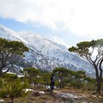 ralph hoyek - Instagram Profile Picture of ralph hoyek (@hoyekralph) on Instagram