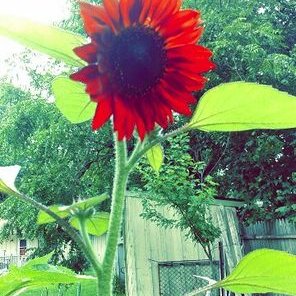 Profile Picture of Brandon Dever (@brandon_dever) on Twitter