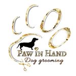 Profile Picture of Diana Horvath (@pawinhand_dog_grooming) on Instagram