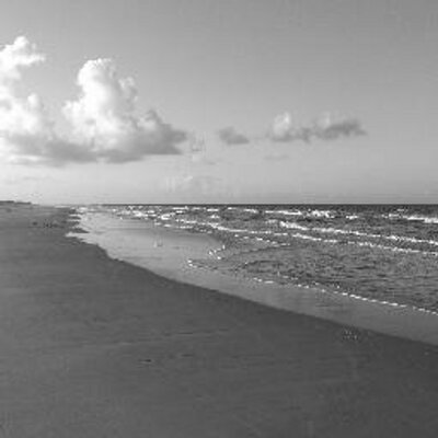 Profile Picture of Brian Wenzel (@@Bwenz11) on Twitter