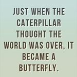 Profile Picture of Dawn Ashby (@19dawn74) on Instagram