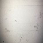 Profile Picture of Leo Croft (@leo_croft) on Instagram