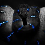 Profile Picture of joshua james gilbey (@josh1.gilbey) on Instagram