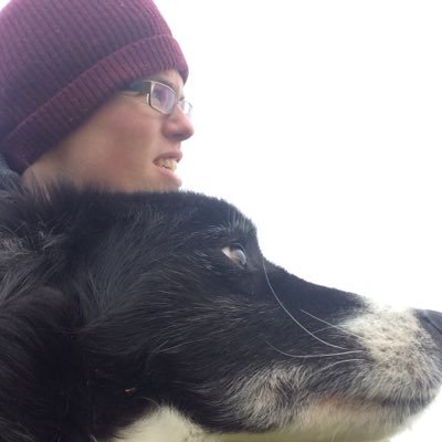 Profile Picture of Joe Regan (@jreganhistory1) on Twitter