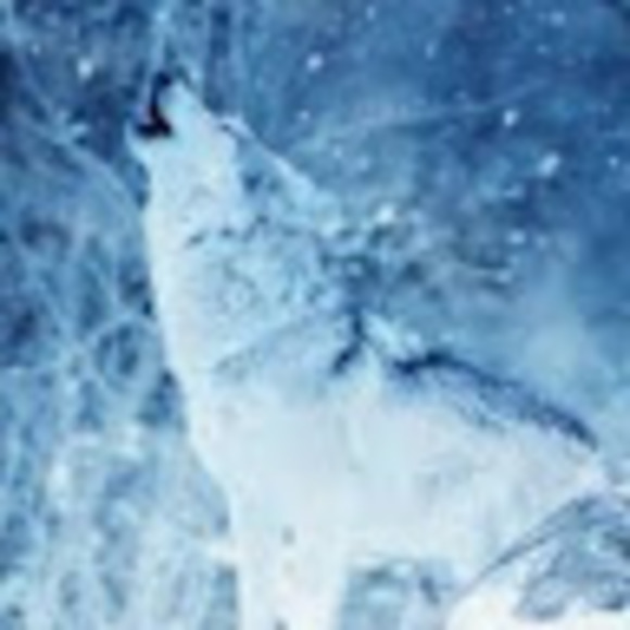 Profile Picture of Azalynn Randell (@azalynn_randell) on Poshmark