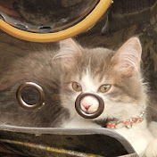 Leonor Vargas - Youtube Profile Picture of Leonor Vargas (@leonorvargas637) on Youtube