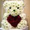 Profile Picture of Ellen Sturm (@ellen.sturm.77) on Facebook