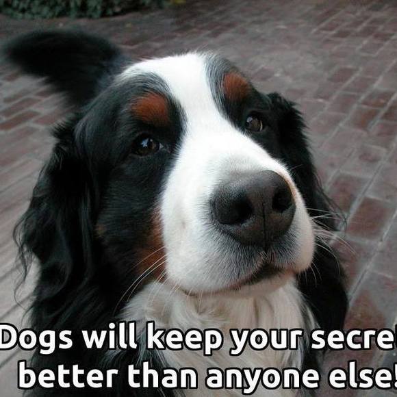 Profile Picture of Karen Shenkel (@karenshenkel) on Poshmark