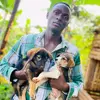 Profile Picture of Joseph_dogs_shelter (@joseph_dog_rescue) on Tiktok