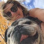 Profile Picture of Ann Stevenson (@annstevensonart) on Instagram