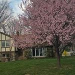 Profile Picture of George Chacko (@george.chacko) on Instagram