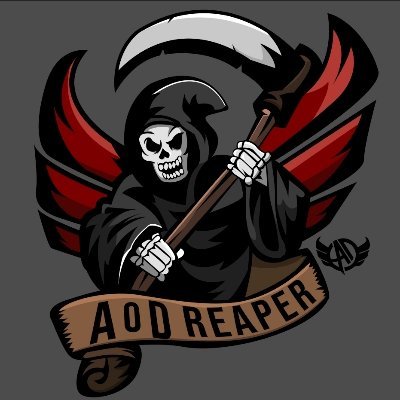 Profile Picture of AoD_Reaper (@JonSmit08828436) on Twitter