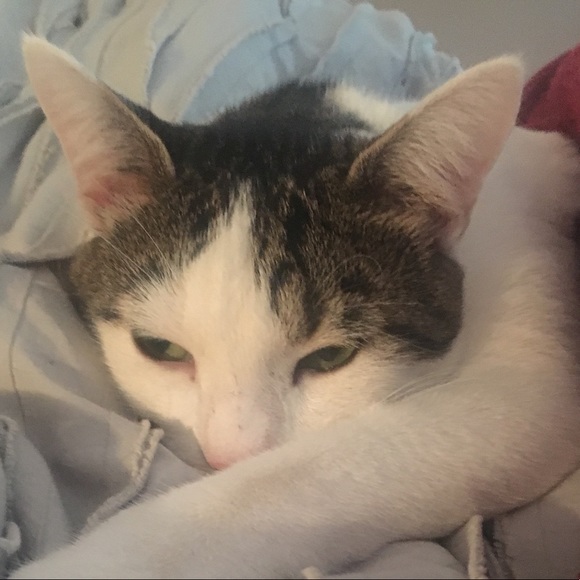 Profile Picture of Jacqueline Patterson (@acd47zup) on Poshmark