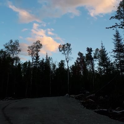 Tabatha Carter - Twitter Profile Picture of Tabatha Carter (@CrtrCrw2) on Twitter