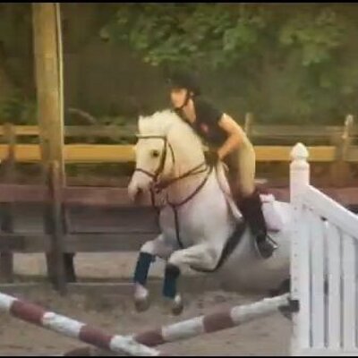 Profile Picture of Rebekah Masiakos (@idkmybffbecka) on Twitter