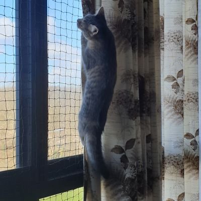 Profile Picture of Anette Hansen (@anettehansen66) on Twitter