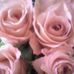 Profile Picture of Val Stadler (@val.stadler.7) on Facebook