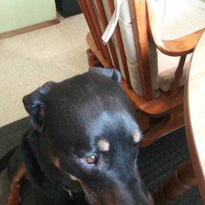 Profile Picture of Michelle Jamison (@Michell46210311) on Twitter