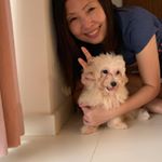 Profile Picture of Alice Chua (@alice_chua_snowie) on Instagram