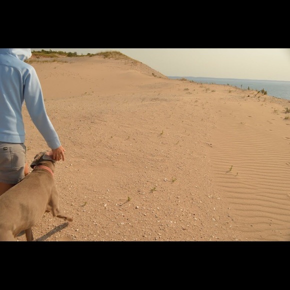 Profile Picture of Audrey Schwing (@aschwing11) on Poshmark