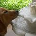 Profile Picture of Nancy McNamee (@nancymcnamee1) on Pinterest