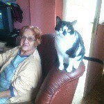 Profile Picture of Domingo González Tabares (@munogonzales.dgt) on Instagram