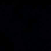 Profile Picture of Brad Moser (@bradmoser8115) on Youtube