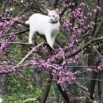 Profile Picture of Robin Hessler (@robin.hessler.568) on Facebook