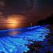 Profile Picture of Jacob Baumgartner (@jacob319) on Pinterest