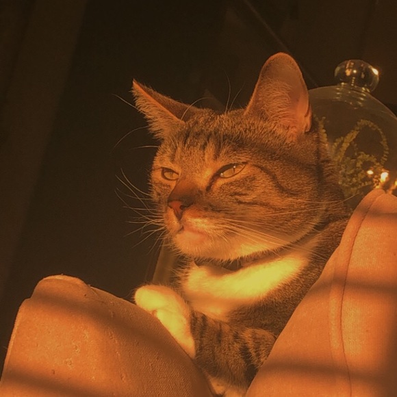 Profile Picture of Michael Mcgee (@michaelmcgee125) on Poshmark