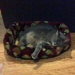 Profile Picture of Dawn Dumont (@doubled1003) on Instagram