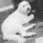 Profile Picture of John Hesser (@john_hesser1) on Instagram