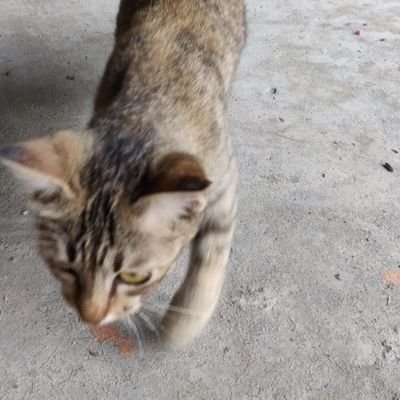 Profile Picture of Anderson (@HeeWong13) on Twitter