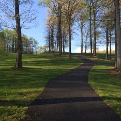 Profile Picture of Paul's Loser (@DreamyPanther) on Twitter