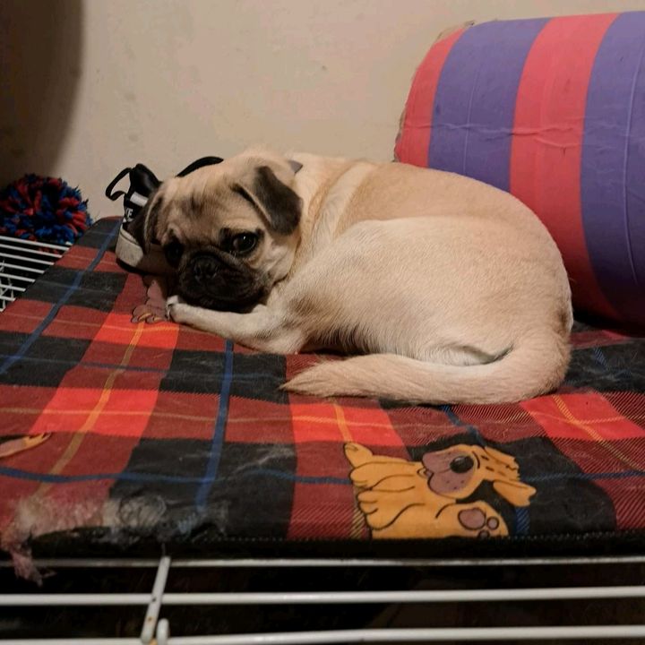 Profile Picture of kimsparrow (@kimsparrow58) on Tiktok