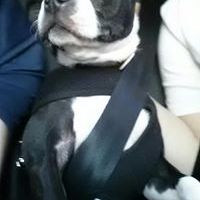 Profile Picture of Scott Singley (@scottsingley9) on Pinterest