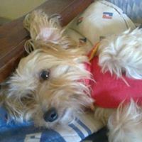 Profile Picture of Monica Mancinelli (@monicamancinelli07) on Pinterest