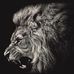 Profile Picture of Miguel Barba (@miguel.barba.3576) on Facebook