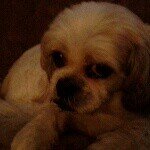 Profile Picture of darin_ferguson61 (@darin_ferguson61) on Instagram