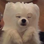 Profile Picture of Fernanda Chamorro (@mafchamorro) on Instagram