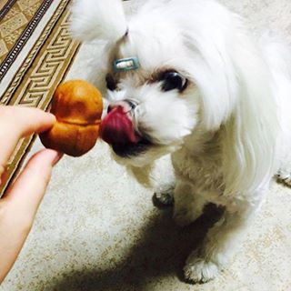 Profile Picture of Joe Capetillo (@Joe-Capetillo) on Facebook