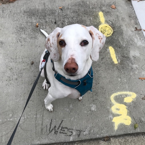 Profile Picture of David Busby (@busbyd) on Poshmark