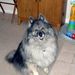 Profile Picture of Whitney Patella (@wp1027) on Pinterest