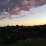 Profile Picture of Julia Coats (@juliacoats2883) on Instagram