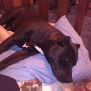 Profile Picture of Jayden Patrick (@jayden.patrick.927) on Facebook