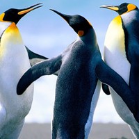 Profile Picture of Tracy Rourke (@tracy-rourke-4) on Quora