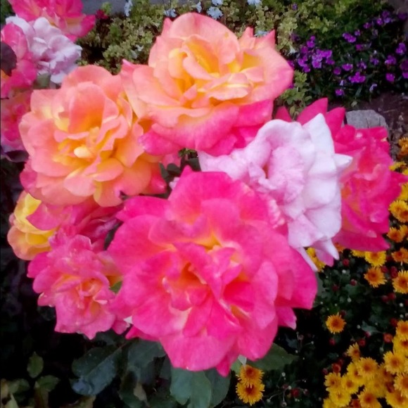 Profile Picture of Zulma Rivera (@zrivera333) on Poshmark