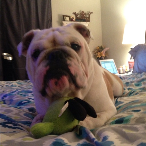 Profile Picture of Virgil Cissoko (@vibz23) on Poshmark