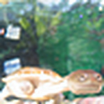 Profile Picture of Alex Kent (@alexkent) on Flickr