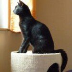 Profile Picture of Michaela Bär (@michaela_baer) on Instagram